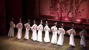 中老年成人舞蹈比赛视频,中老年舞蹈比赛精彩瞬间回顾