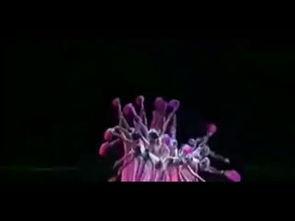 成人中国红色舞蹈视频,探寻中国成人红色舞蹈的魅力